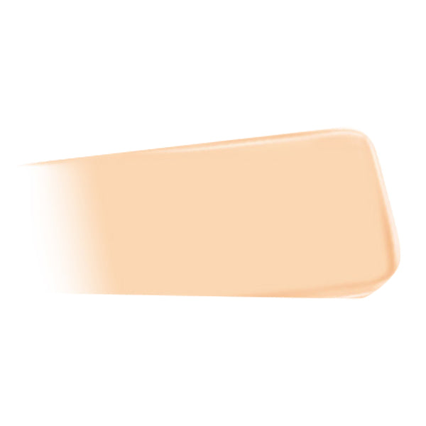 JUNG SAEM MOOL Pro-lasting Flawless Fit Mesh Cushion SPF50+ PA++++14g 6 colors