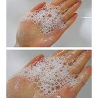 Sidmool Kakadu Amino Cleanser 500ml - DODOSKIN