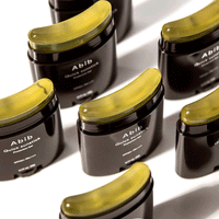 Abib Quick Sunstick Protection Bar SPF50+ PA++++ 22g - DODOSKIN