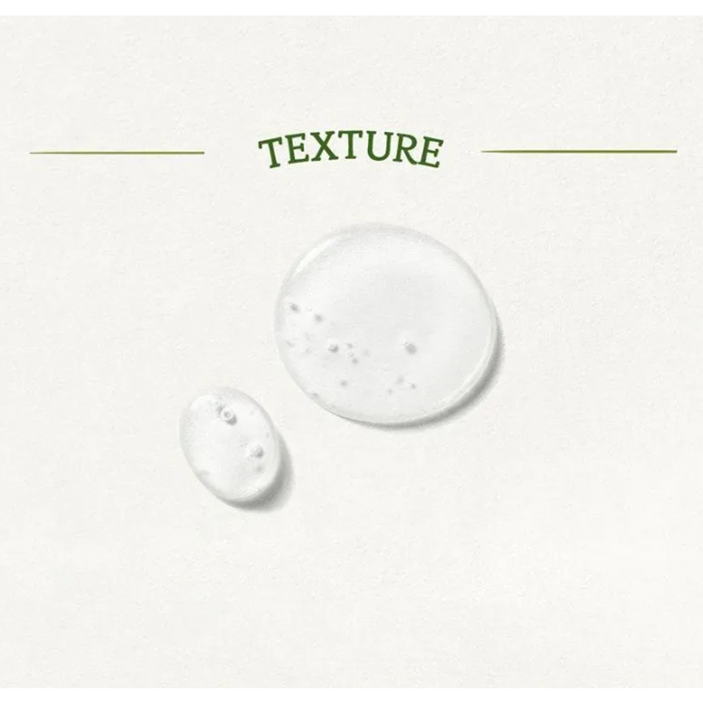 SKINFOOD Garden Bean Gentle Gel Foam Cleanser 200ml - DODOSKIN