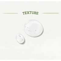 SKINFOOD Garden Bean Gentle Gel Foam Cleanser 200ml - DODOSKIN