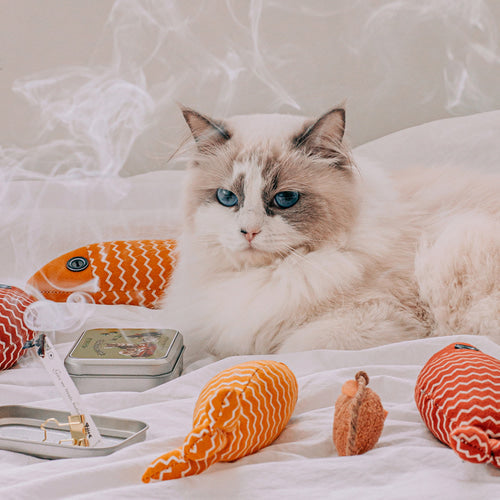 [Gift Packaging] OPTATUM Cat Paper Incense & Catnip Toy Gift Set