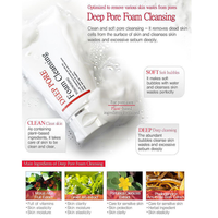 TOSOWOONG Deep Pore Foam Cleansing 100ml - DODOSKIN