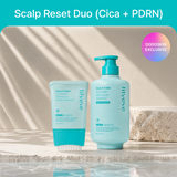 [Scalp Reset Duo] lilyeve Scalp:Turn Cica PDRN Shampoo 500g + Ampoule 100ml