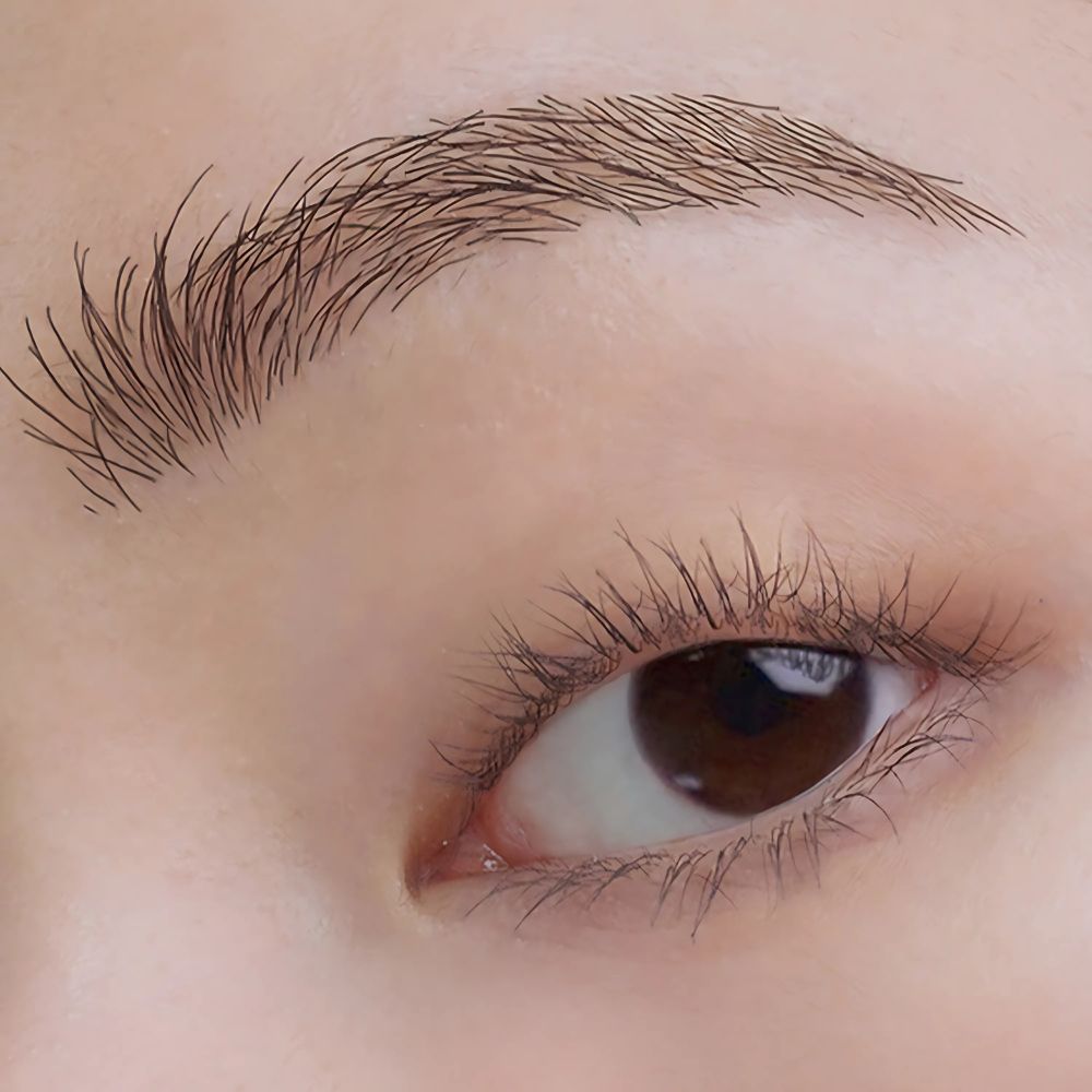 Dinto Dante One By One Brow Fixer 4g in 442 Marrone color.