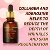 the SKIN HOUSE Wrinkle Collagen Ampoule 30ml - DODOSKIN