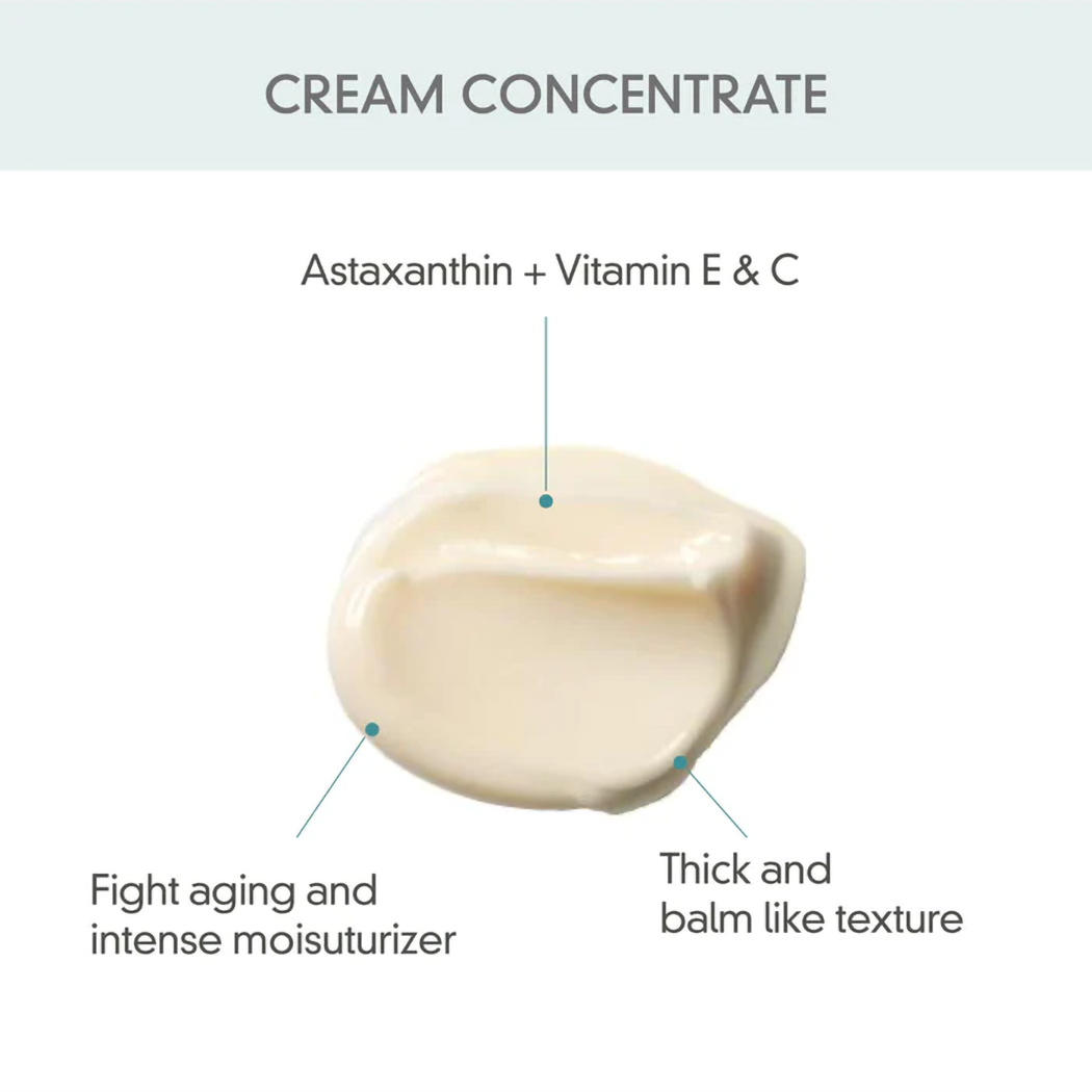 ROVECTIN Barrier Repair Cream Concentrate Face Moisturizer 60ml - DODOSKIN