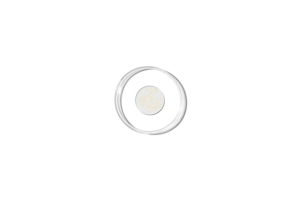 . Genabelle PDRN Vita Toning Ampoule 30ml bottle for skin toning and revitalization.