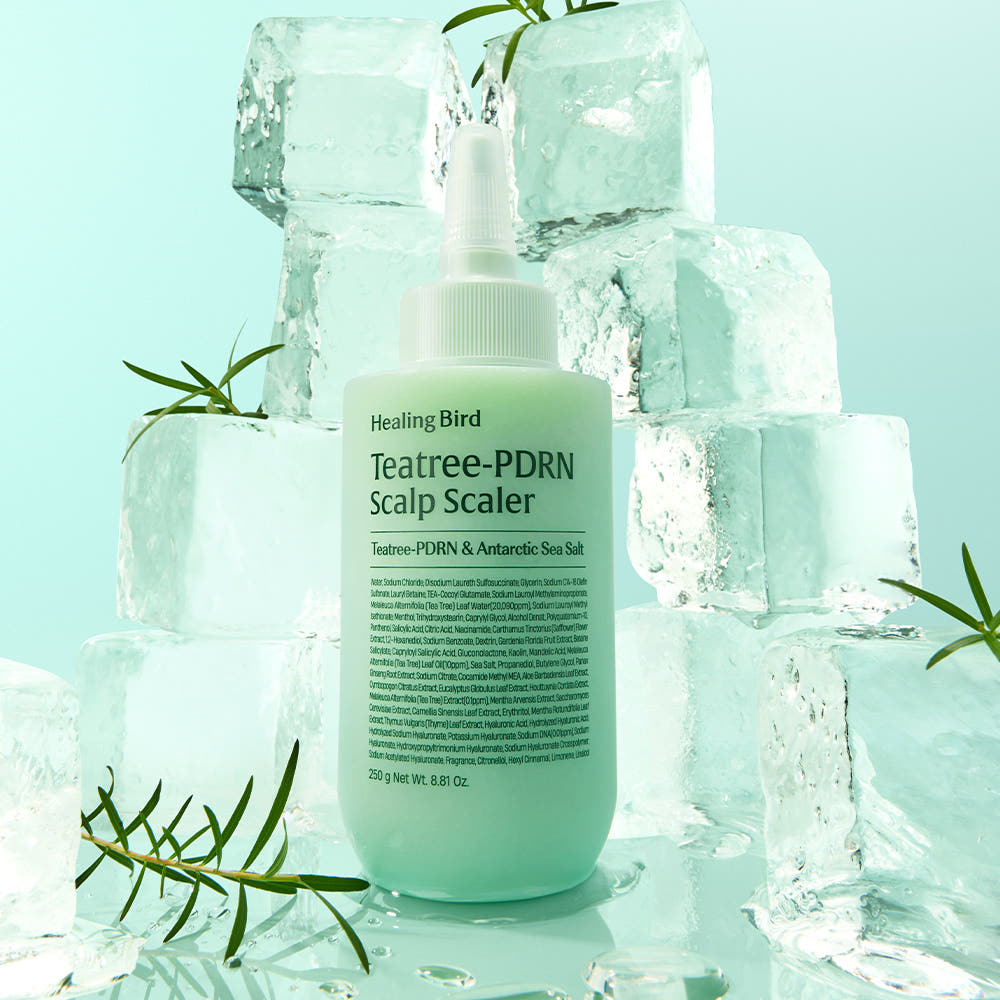 Healing Bird Tea Tree PDRN Scalp Scaler 250g