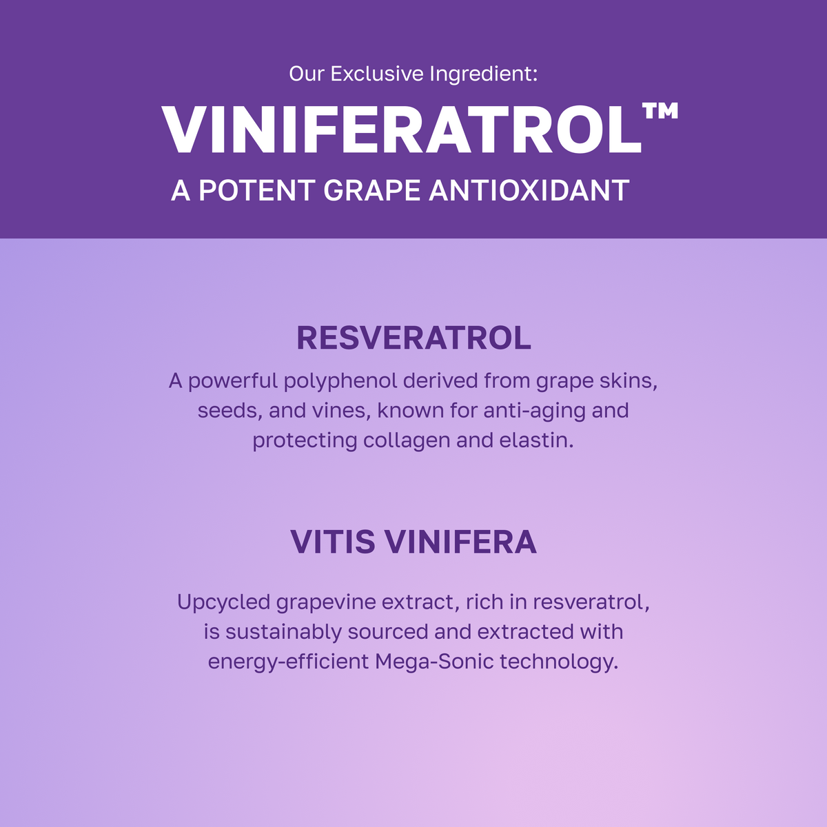 por Juccy Vinoberry Humerry Refirming Cream 55ml