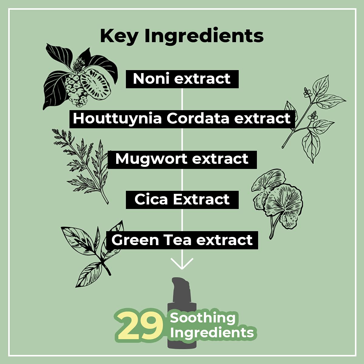 numbuzin No.7 Mild Green Soothing Serum 50ml - DODOSKIN