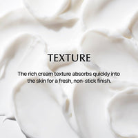 ONEOSEVEN Everyday Plump Hydro Cream 50ml - DODOSKIN