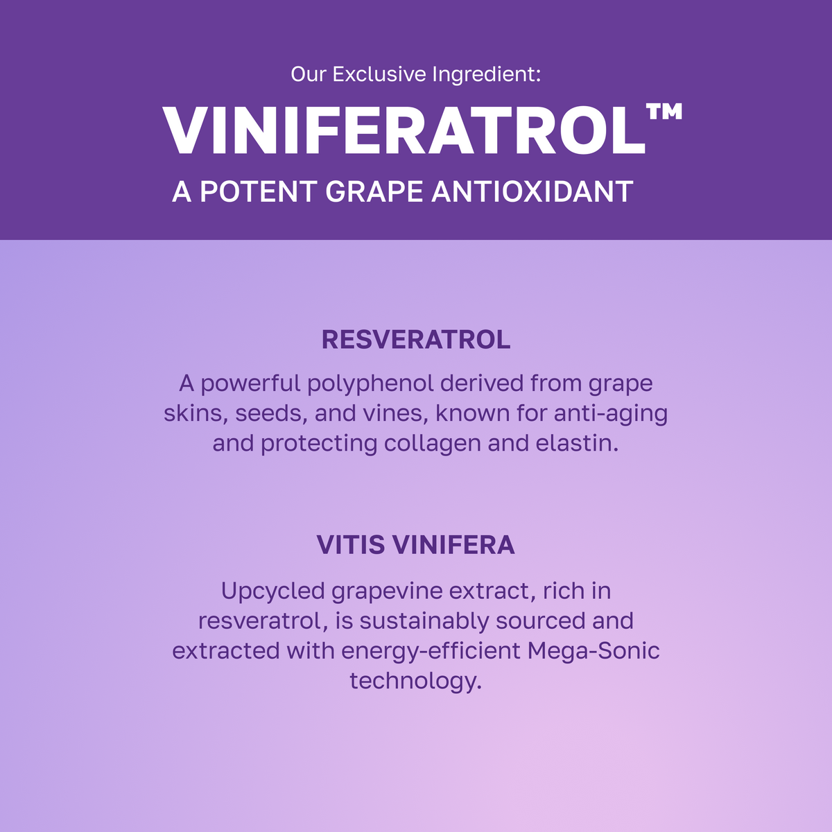 por Juccy Vinoberry enriquecido Bakuchiol Nourishing Cream 55ml