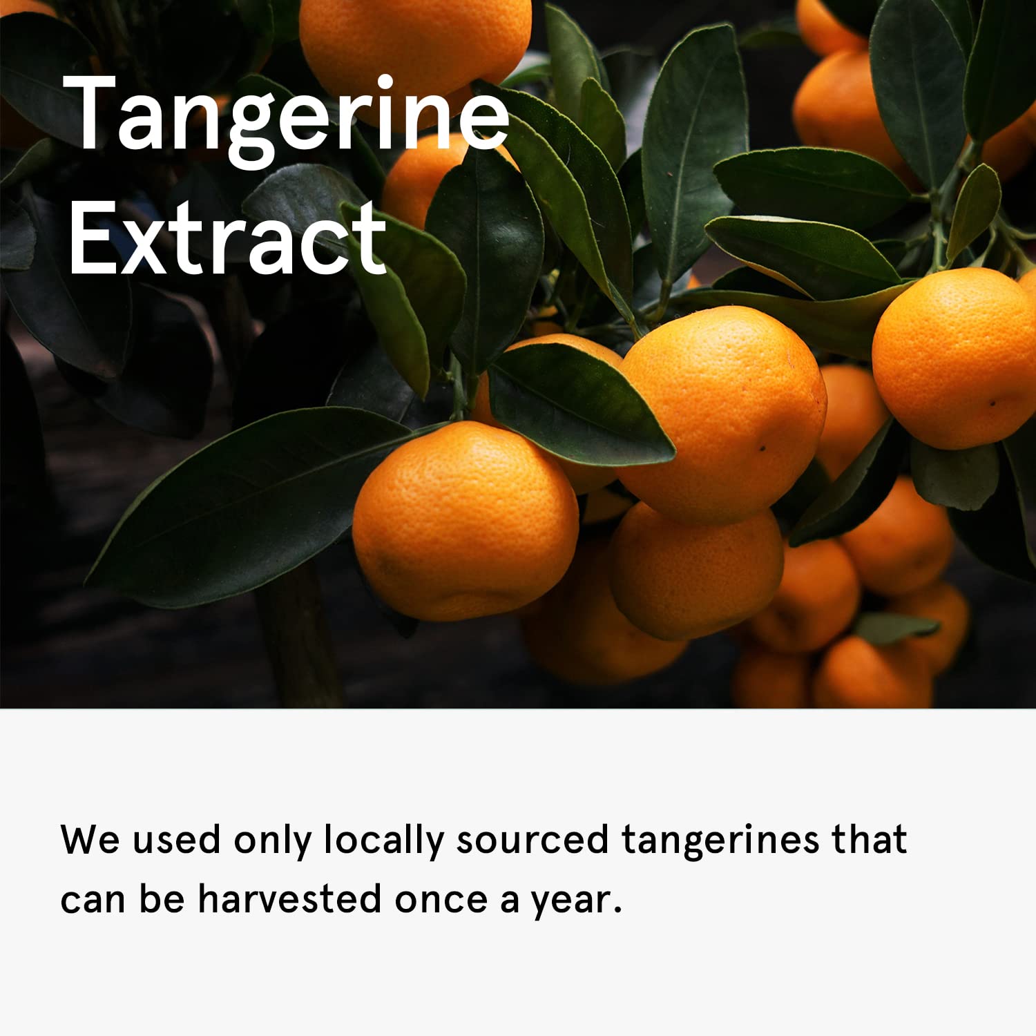 ONE THING Tangerine Serum 80ml