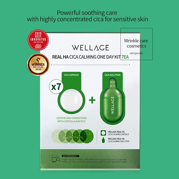 Wellage Real Cica Clear One Day Kit 7ea - DODOSKIN