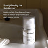 Biodance Skin-Glow Essence Cream 50ml - DODOSKIN