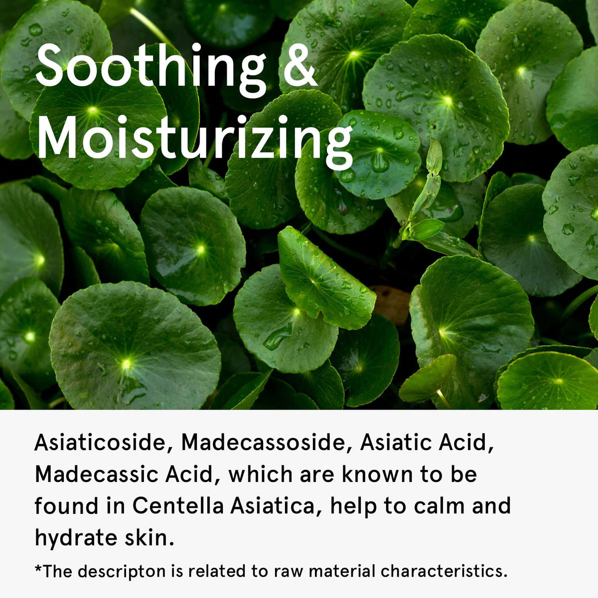 ONE THING Centella Asiatica Serum 80ml - DODOSKIN