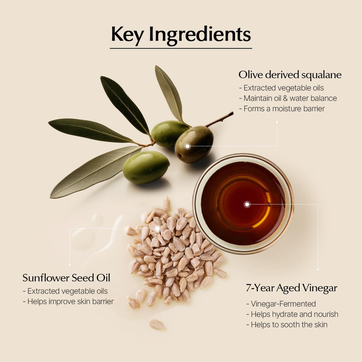 ONEOSEVEN Everyday Plump Hydro Cream 50ml - DODOSKIN