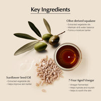 ONEOSEVEN Everyday Plump Hydro Cream 50ml - DODOSKIN