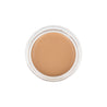 the SAEM Cover Perfection Pot Concealer 6g (Renewal) - DODOSKIN