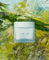 URIID Marine Energy Cream 80ml - DODOSKIN