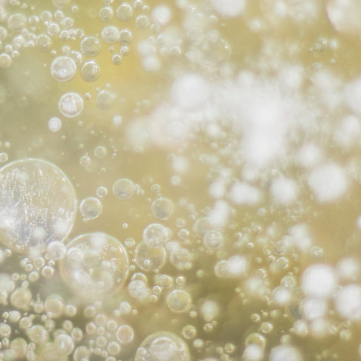 AIDA Propolis Soothing Ampoule Gel Cleanser 100ml