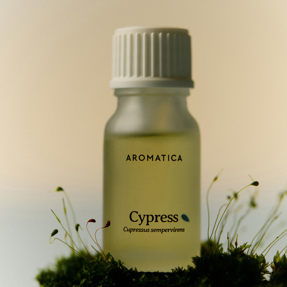 AROMATICA Essential Oil 10ml 4 Types