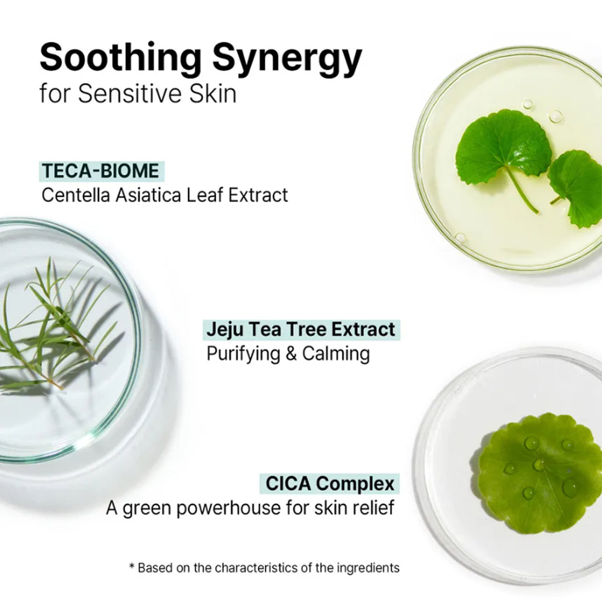 AVCA Quick Calming Cica Tea Tree Rebalancing Serum 100ml