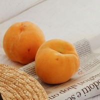 Atelier Faye Perfume 30ml #Apricot Blossom