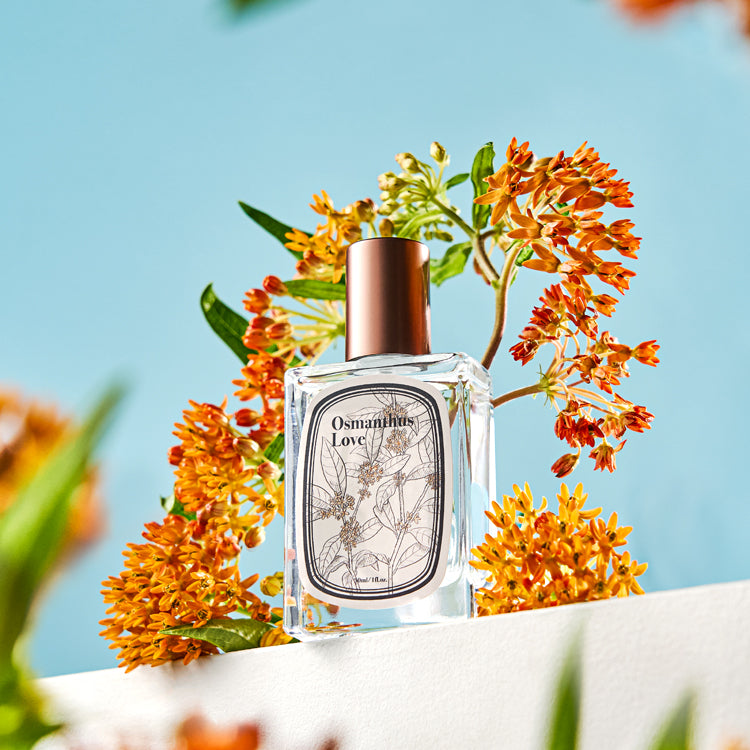 Atelier Faye Perfume 30ml #Osmanthus Love