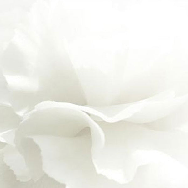 BEYOND Angel Aqua Cica Cream 150ml