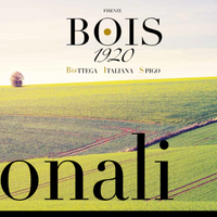 BOIS 1920 Agrumi Amari di Sicilia 18ml