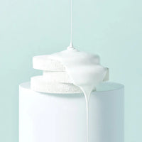 Traiga el árbol de té verde Cica Tone-Up Sun Cushion SPF50+PA ++++ 15g