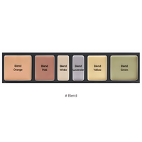 JUNG SAEM MOOL Paleta de corrector de artistas 6.6g