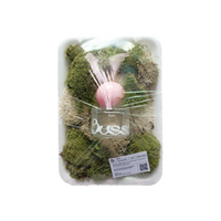 Bussi Eau De Parfum 30ml (5 options to choose)