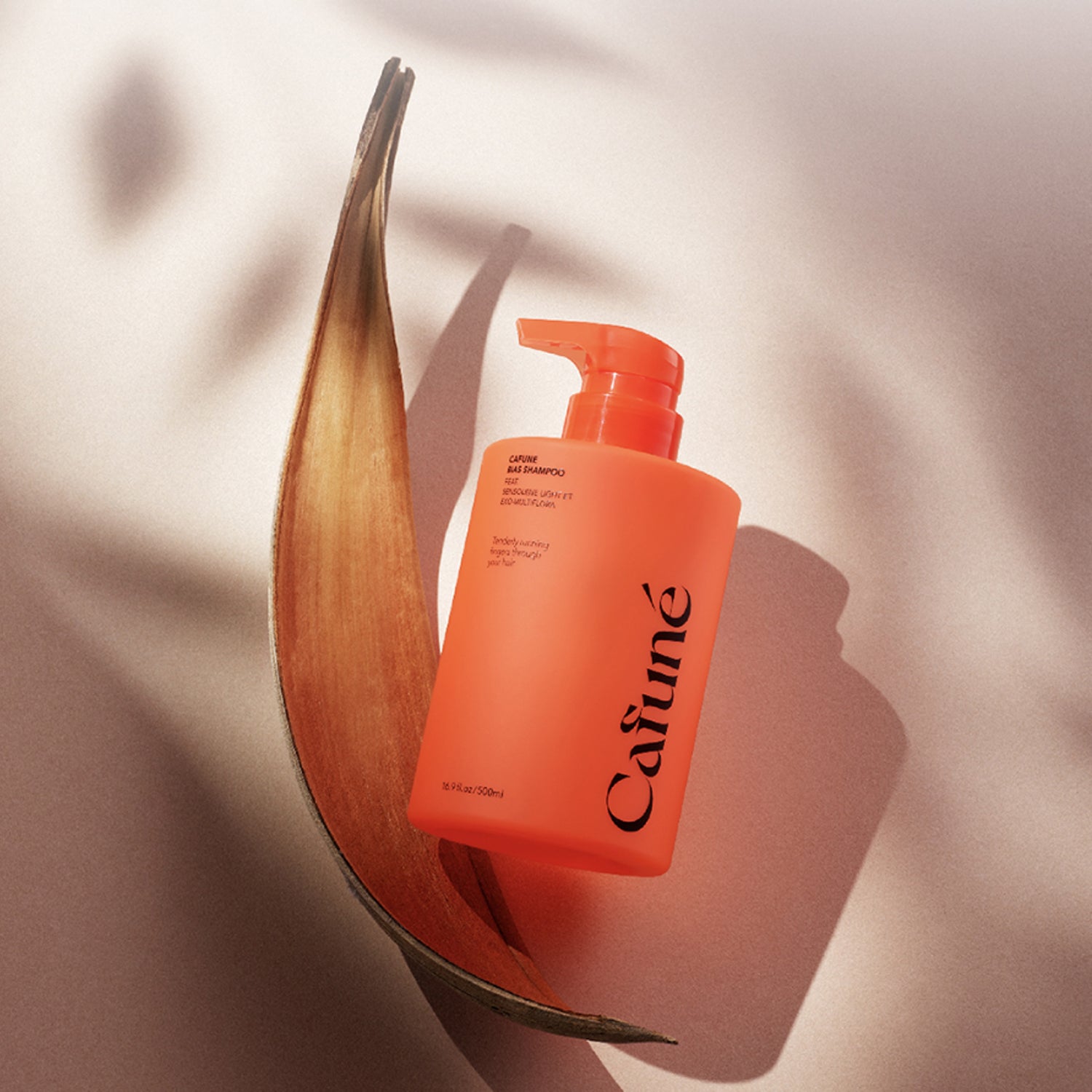 CAFUNE Bias Shampoo 500ml | DODO SKIN – DODOSKIN