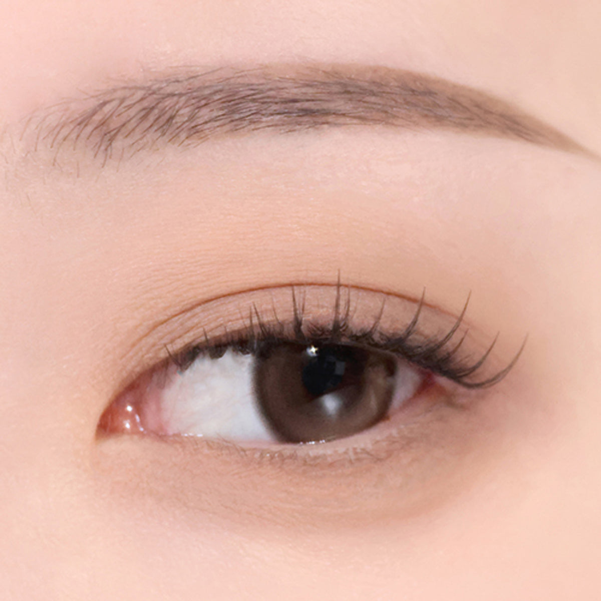 CLIO Soft Blending Shadow Stick 7 Colors