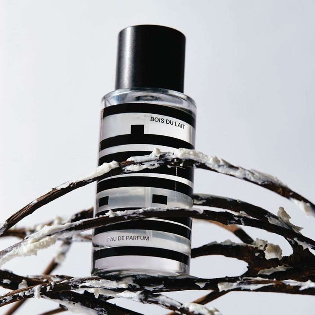 CO:NEZ Eau de parfum 15ml 3 Types