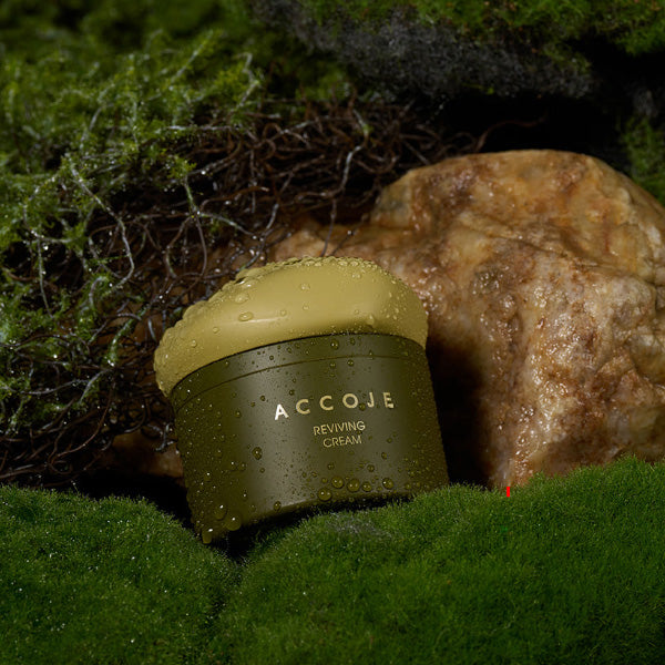 ACCOJE Reviving Cream 50ml
