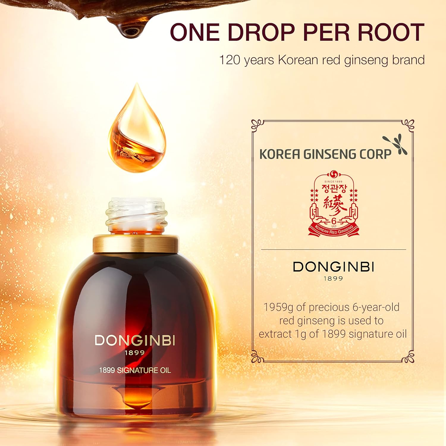 DONGINBI 1899 Signature Oil 25g | DODO SKIN – DODOSKIN