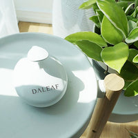 Daleaf Better Moment Shampoo Brush