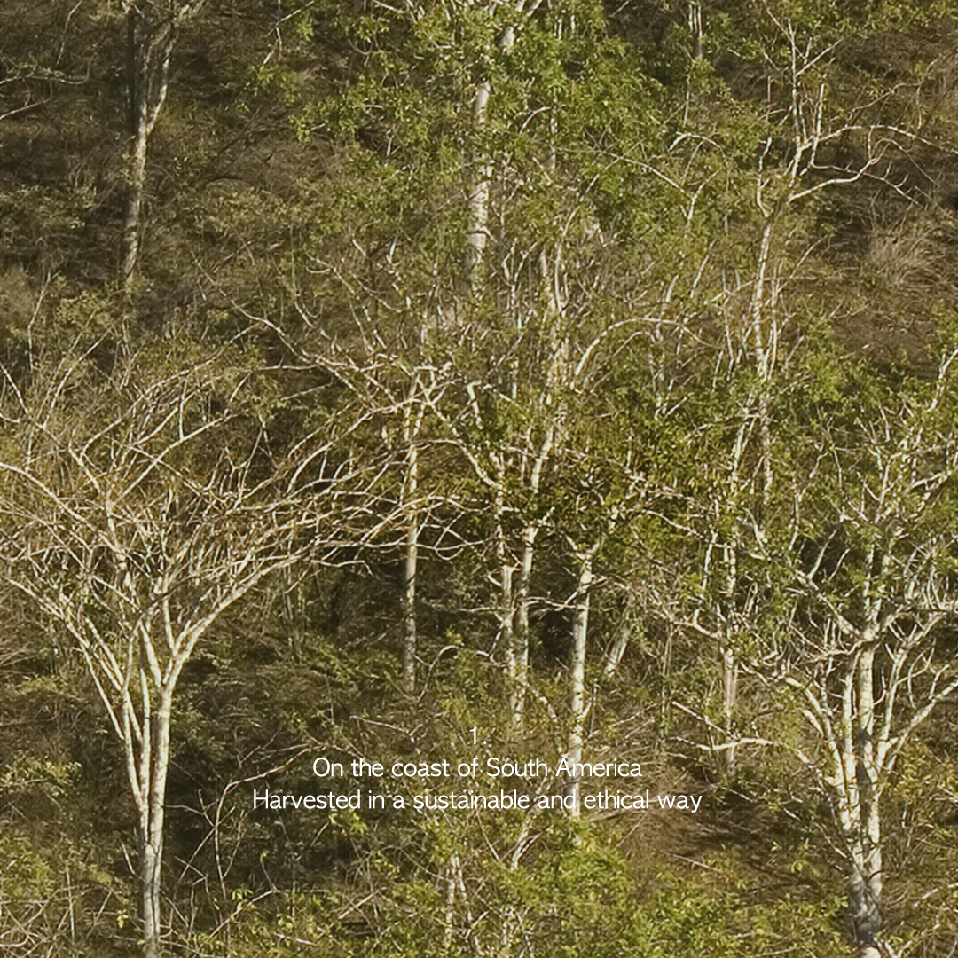 Deun Hyang Palo Santo Natural Aroma Smudge Stick 3ea