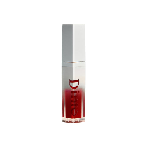 Dinto Mirrorless Lip Gloss (7 Shades)