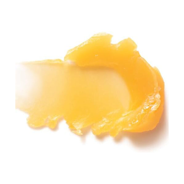 Dr.Hauschka Lip Care Stick 4.9g
