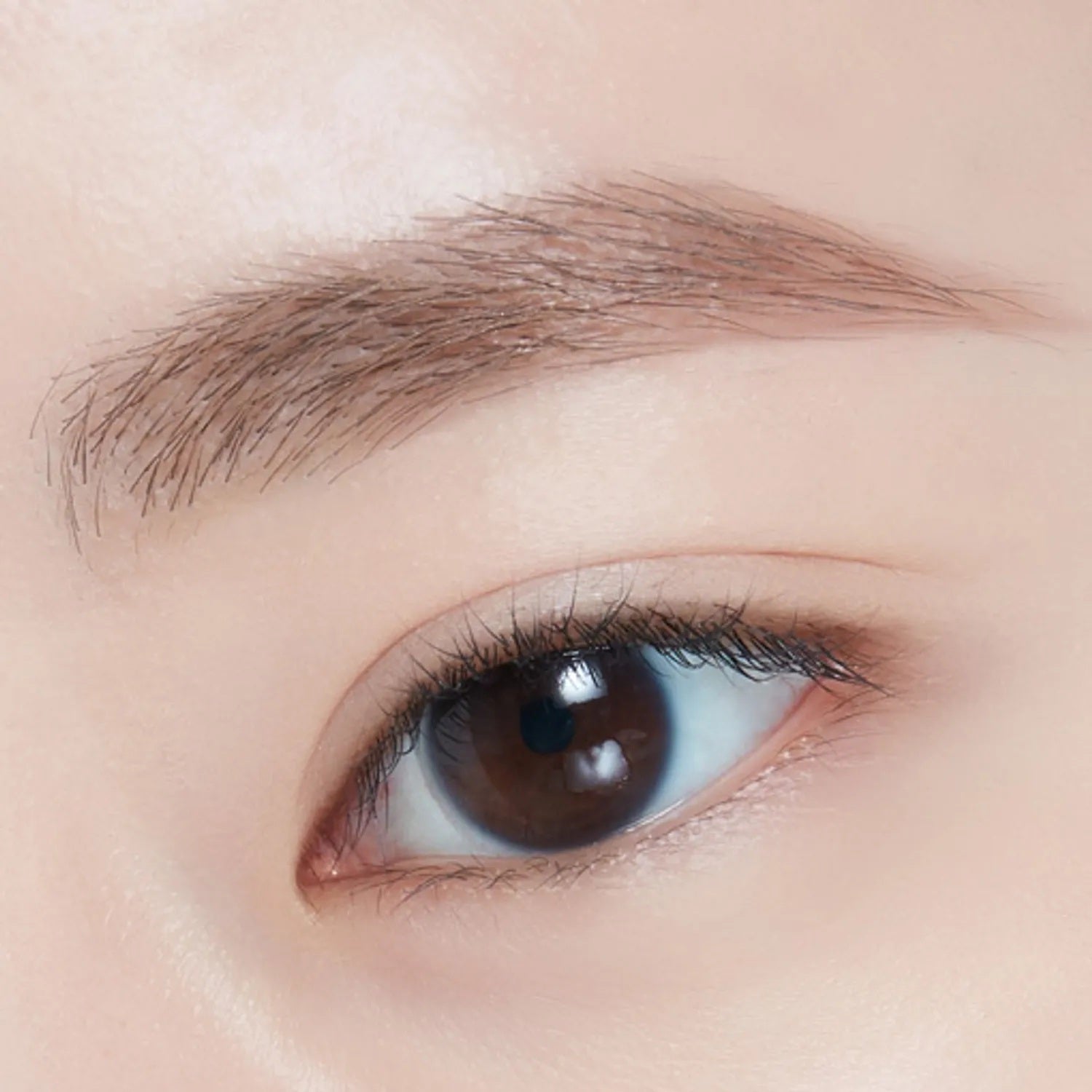 04 Light Brown