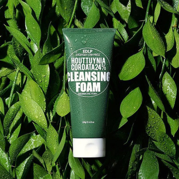 DERMA FACTORY EDLP Houttuynia Cordata 24% Cleansing Foam 120g