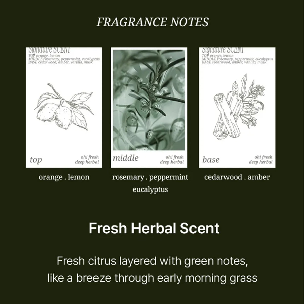 HAIR+ Oh! Fresh Deep Herbal Water Scaler 200ml