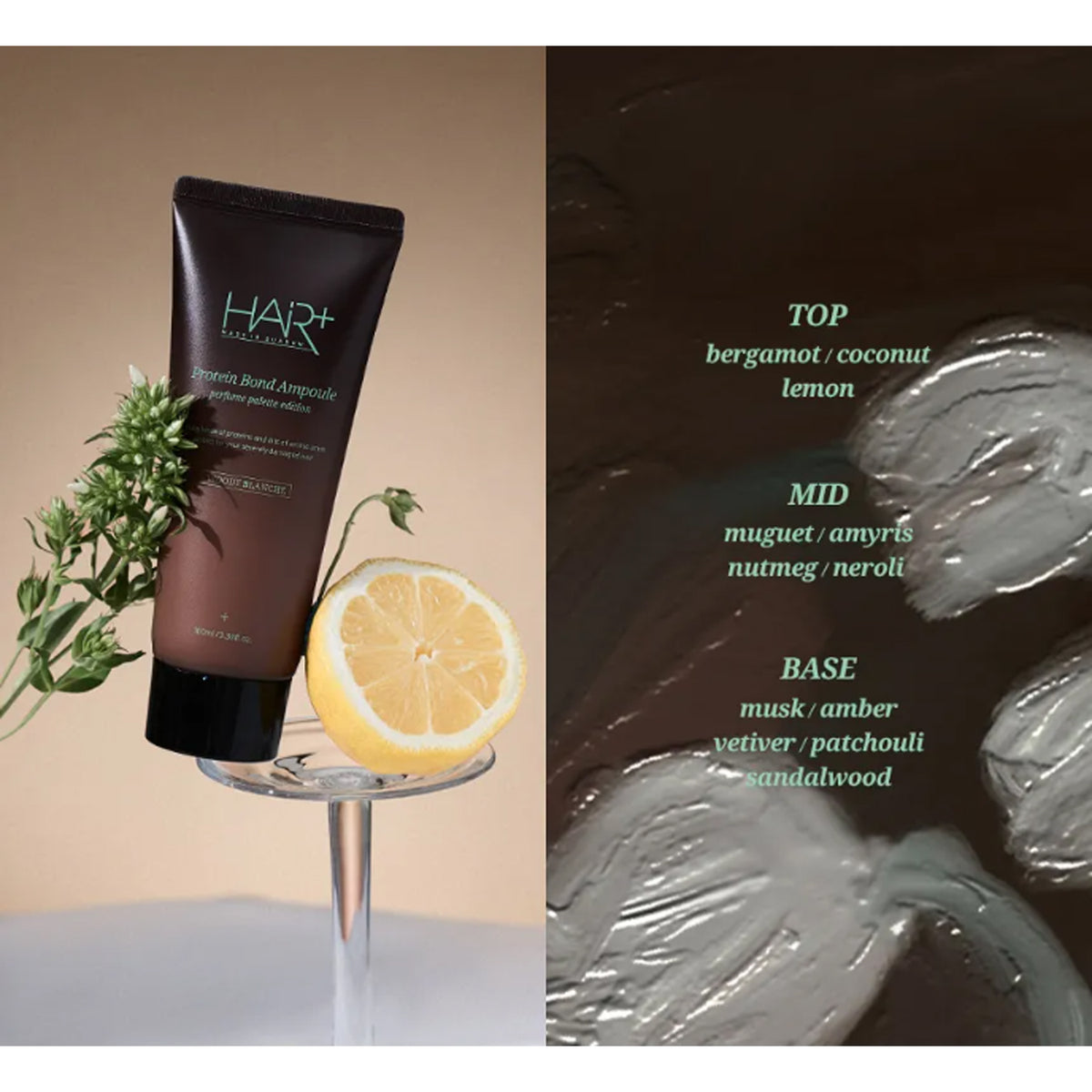 HAIR+ Protein Bond Ampoule Woody Blanche Edition 100ml