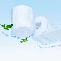 HANYUL Pure Artemisia Hyal Moisture Pad 60 Sheets