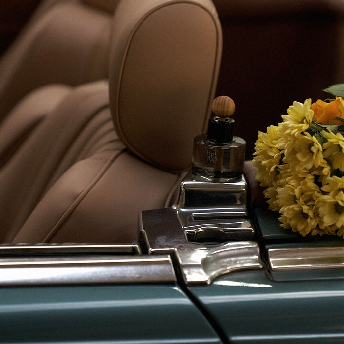 HETRAS Premium Car Diffuser Set (77ml x 2ea)